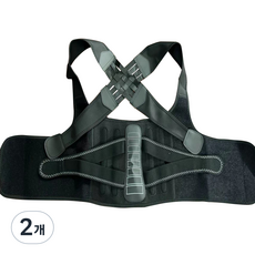 비투윈 데일리 바른자세 용품 척추지지형 블랙, 2개