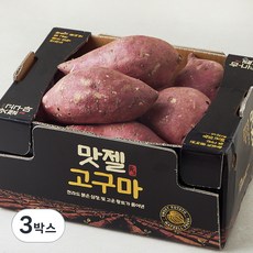 맛젤 해남 호박고구마, 3kg(특대), 3박스