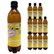 nexba 康普茶 接骨木花檸檬味 無糖, 12個, 450ml