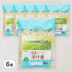곰곰 아삭한 콩나물, 300g, 6봉