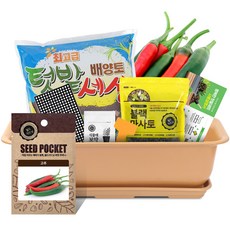 월드가드닝 베란다 채소키우기 텃밭세트 9종 커피컬러, 고추