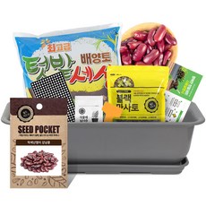 월드가드닝 베란다 채소키우기 텃밭세트 다크그레이, 적색난쟁이강낭콩