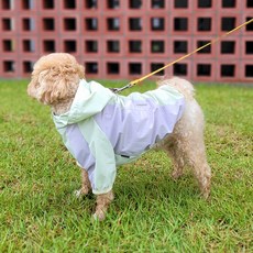 Leto 狗衣服 雨衣 防風外套 貓衣服 寵物服飾, 1個, 薄荷綠