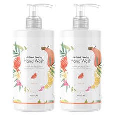 半天新鮮水果香氛泡沫洗手液甜西柚味, 500ml, 2個