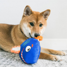 KONG REEFZ 堅固的魚幼犬玩具 L, 混色, 1個