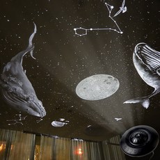 AORA 우주빔 무선 무드등, 블랙