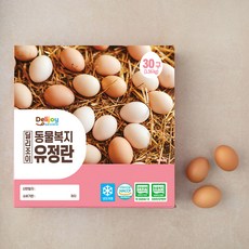 딜리조이 동물복지 유정란, 30구, 1개