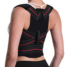 XA 頂級仿生背部支撐帶，舒適透氣，男女老少皆適用, L, 1件