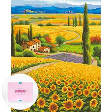 DCLARE 相框畫布型鑽石畫 DIY 套組 40 x 50 cm, 1套, 向日葵村