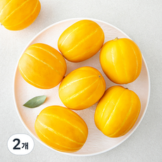 아주마 산지직송 고령 실속 참외 6~8입, 2개, 2kg