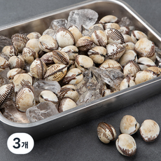 바다자리 국산 생물 새꼬막, 1kg, 3개