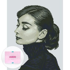 DCLARE 相框畫布型鑽石畫 DIY 套組 40 x 50 cm, 1套, 奧黛麗