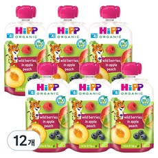 힙 이유식, 혼합맛(사과/복숭아/블루베리/라즈베리), 100g, 12개
