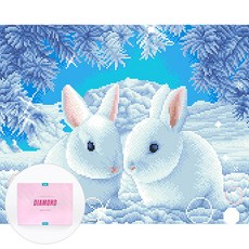 DCLARE 相框畫布型鑽石畫 DIY 套組 40 x 50 cm, 1套, 雪上的兔子