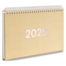 루카랩 2025 플랜더 캘린더 겸 플래너, 옐로우, 1개