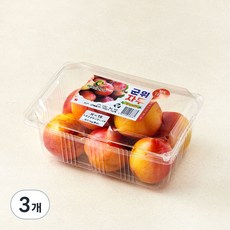 이로운군위 고당도 13Brix 자두, 3개, 1kg(중과)
