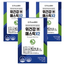 프롬바이오 정품 위건강엔 매스틱X2, 56g, 3개