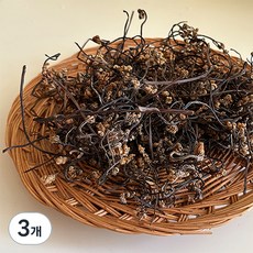 굳드림 국산 건고사리, 100g, 3개
