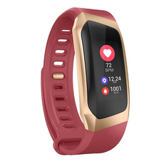 AFAMIC 艾法 M8藍牙智能心率GPS運動手環 可更換錶帶, 紅金色, 4 x 1.8cm, GPS + 藍牙