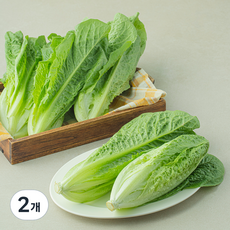샐러팜 하트로메인, 800g, 2개