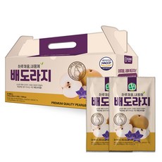 단디푸드 하루채움 내몸에 도라지배즙, 2.7L, 1개