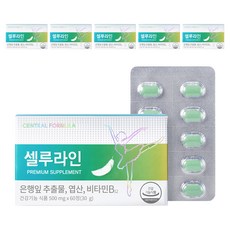 센트럴포뮬러 셀루라인, 60정, 6개