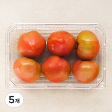 곰곰 찰토마토, 1kg, 5개
