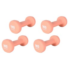 에르고기어 네오프렌 아령, 1kg, 4개