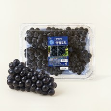 맑은청 청정강원 영월포도, 1.5kg(3~6입), 1개