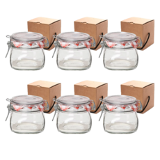 Bormioli Rocco Fido 透明上蓋玻璃儲物罐 500ml x 6入 + 禮物盒 6入, 1套