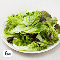 팜에이트 무농약 인증 유러피안 샐러드, 130g, 6개