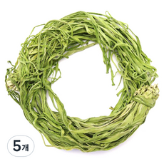 나물투데이 마른줄기상추 건궁채, 200g, 5개