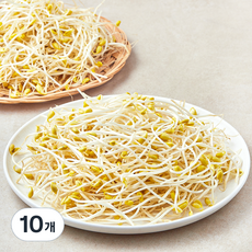 풀무원 국내산 무농약 인증 콩나물, 500g, 10개