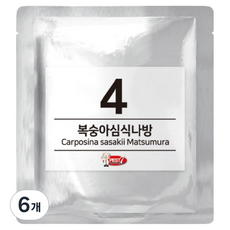 PEST7 費洛蒙誘引劑 04 桃蛀果蛾