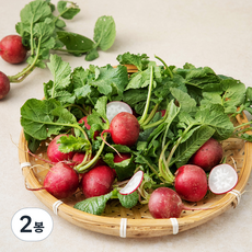 국내산 레디쉬 방울무, 300g, 2봉