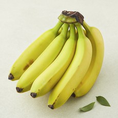 곰곰 페루산 유기농 바나나, 1개, 1.2kg