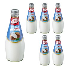 Nita 椰果椰奶Plus, 290ml, 6瓶