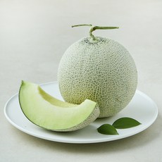 곰곰 GAP인증 나주 세지멜론, 1kg, 1개