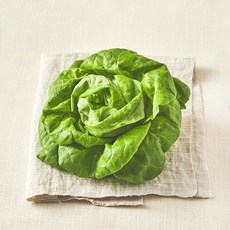 국내산 무농약 버터헤드레터스, 90g, 1개