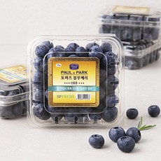 폴앤박 블루베리, 125g, 4팩