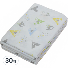 babystory 幼兒用Well Being布尿布 大型, 30片, 藍色印地安款