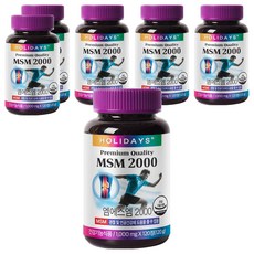 HOLIDAYS MSM 2000補充錠, 120顆, 6罐
