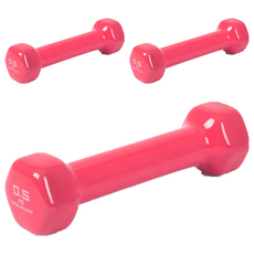 아이워너 PVC 컬러 아령, 0.5kg, 3개