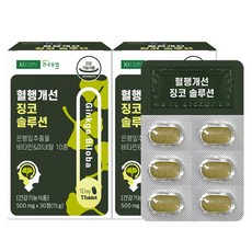 건국유업 혈행개선 징코 솔루션, 2개, 15g