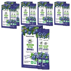 뉴트리디데이 리얼 100% NFC 착즙 유기농 블루베리 스틱, 280g, 6개