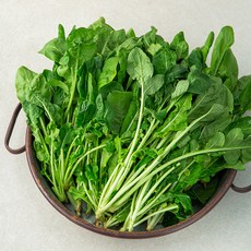 국내산 루꼴라, 1kg, 1개