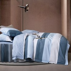 J-bedtime 床寢時光 天絲抗菌舖棉兩用被套 六件式床罩組 VMB7886L