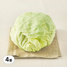 제주도 유기농 양배추, 1.2kg, 4봉