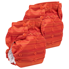 Smart Bottoms Diaper 2.0 成長型 布尿布 (4.5 - 26公斤) 100%PUL防水層聚酯, Horizon, 2件