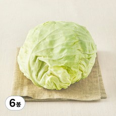 제주도 유기농 양배추, 1.2kg, 6봉